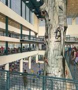 Rec center artist rendering