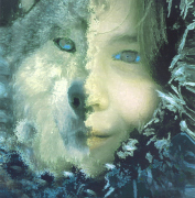 A WVU children\'s play about a girl who is magically transformed into a wolf will be at the Met Theatre Dec. 8-10. 