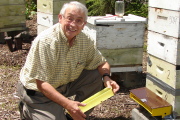 Davis College Professor James Amrine attaches a pollen trap to one of the 20 beehives WVU uses for research. Amrine\'s research, which may help reverse the international problem of the honeybees\' declining populations, will be published in the 