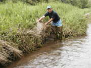 Neal Carte, a West Virginia Division of Highways employee and a co-instructor for WVU\'s Stream Processes and Ecology Workshop 2007, demonstrates the role of vegetation in preventing bank erosion.
