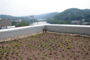 Among numerous ecological improvements to Brooks Hall are features such as increased use of natural light, energy-efficient heating and cooling systems and a \"vegetated roof.\" The roof is covered with a waterproof membrane, layers of soil and 