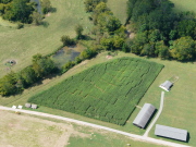 The WVU Jackson's Mill Haunted Corn Maze features roaming ghouls and ghosts. The maze is open from 7:30-11 p.m. Fridays and Saturdays in October at the Jackson's Mill airstrip in Lewis County.  