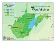 wv