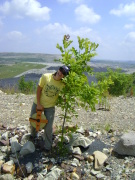 Thomas Calene 2010 64