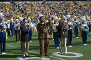 Rifle presentation