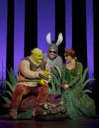 Shrek and friends