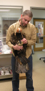 Katzner with eagle