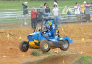 Baja08gold