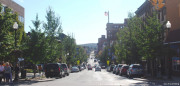 High Street trees