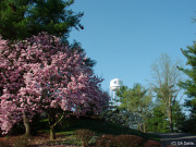 Watertower