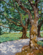 Sycamores by Gloria Plevin