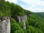 Cliffs on the New River Gorge National River.