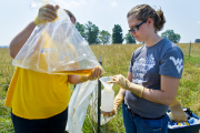 Soil research