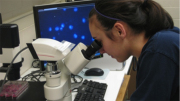 Nano research