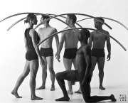 Pilobolus