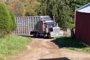 Cow truck