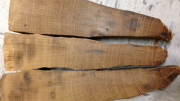 Comparing tree ring records like the ones shown here, collected by early anthropologist Florence Hawley, gives insight into the history of a landscape. Photo by Neil Pederson.