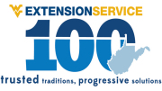ext100image