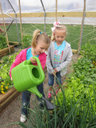 School Garden 1