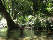 Stuart Welsh, adjunct associate professor of ichthyology at West Virginia University, collects samples from a tributary of Australia's Tully River