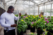 Princely Atemson, Johnna Graham and Tyler Murray measure plants at the WVU Greenhouse