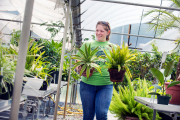Kiersten Hooks carries plants used for demonstration in the WVU Greenhouse