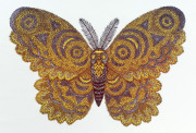 Tugboat Printshop "Moth" Color Woodcut, 2013, 16" x 22" Image courtesy of Tugboat Printshop (Paul Roden and Valerie Lueth)