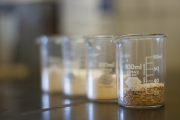 Matak and Tou samples