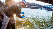 WVU researchers collected samples following the Jan. 9, 2014, chemical spill into the Elk River near Charleston, W.Va.