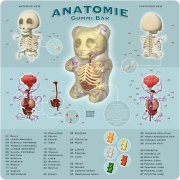 Jason Freeny Anatomie Gummi Bar