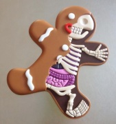 Jason Freeny Gingerbread Man Dissected