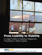2016-From Liability to Viability