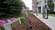 Memorial tree and plaque on WVU campus