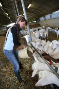 woman feeding goats_193848062%5b1%5d