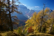 GIULIE CACCIATORE 053 - Dario Di Gallo, Friuli Venezia Giulia Forest Service