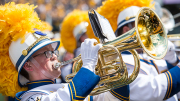 Hornplayer